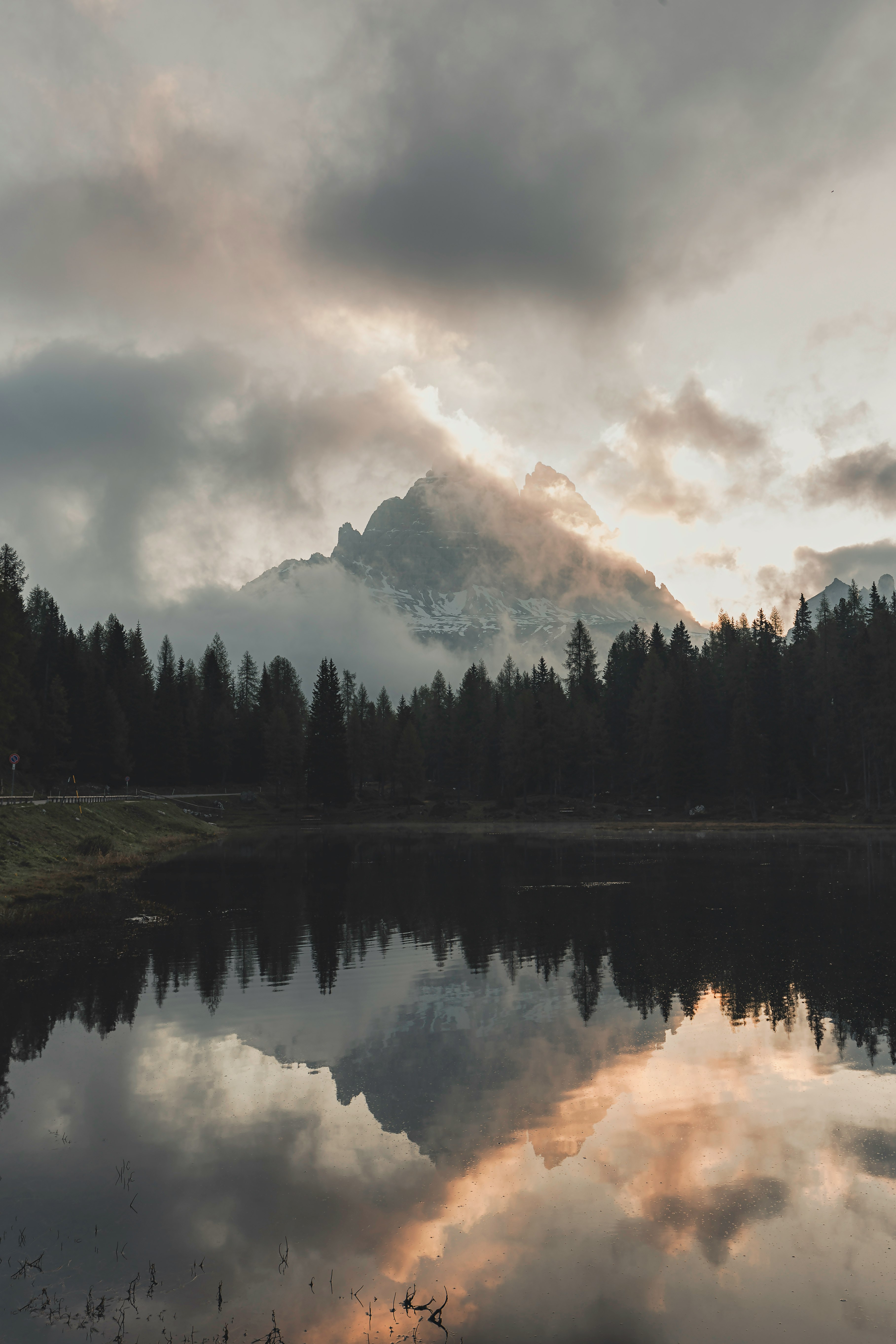 green trees near lake under cloudy sky during daytime